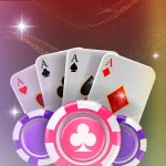 스네이크카지노 이용약관 